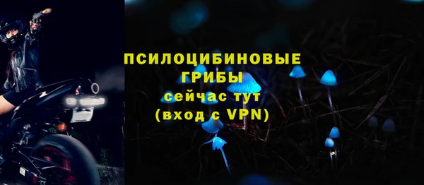 метадон Лагань