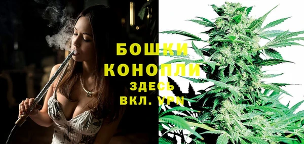 метадон Лагань