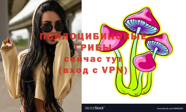 метадон Лагань